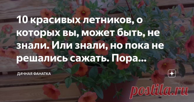 10 красивых летников, о которых вы, может быть, не знали. Или знали, но пока не решались сажать. Пора пробовать Ассортимент летников, выращиваемых обычно дачниками, невелик. Цинии, бархатцы, астры, петунии... В лучшем случае флоксы однолетние, лобелия львиный зев, вербена, некоторые другие.
В то же самое время каждому садоводу-любителю знакома картина: приходишь в магазин семян и глаз не можешь отвести от прилавков с семенами однолетних цветов. Сейчас их видов и сортов пре...