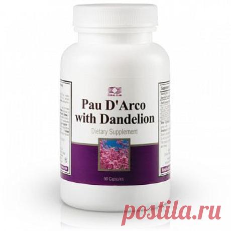 Pau D`Arco with Dandelion | CoralOrder.Com