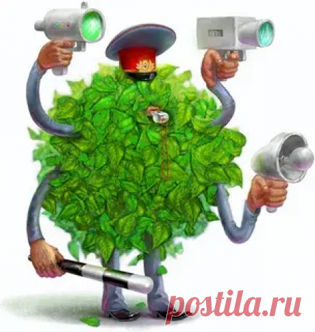 ГИБДД в штатском или скрытое патрулирование 11.07.2023 года утратил силу приказ МВД России от 23 августа 2017 г. N 664 "Об утверждении Административного регламента исполнения ...