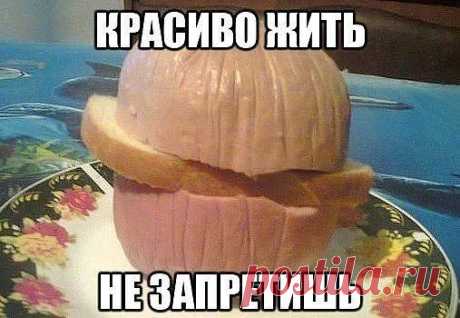 Фото приколы