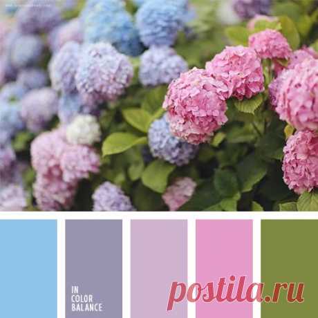 Pinterest: Discover and save creative ideas