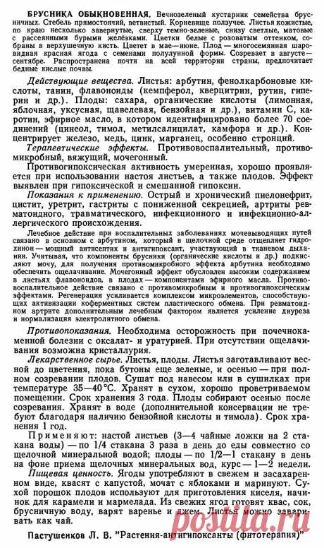 Брусника обыкновенная