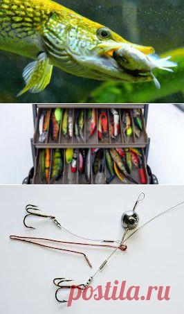 Ловля щуки - лучшие способы и методы как поймать