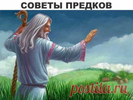 (27) Одноклассники