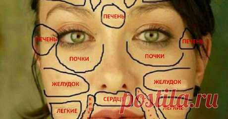 Всем известно выражение &quot;глаза — это зеркало души&quot;. Если по глазам можно узнать внутренний мир человека, то по состоянию кожи можно судить о его здоровье. Китайские специалисты в области медицины уверены, что о состоянии наших