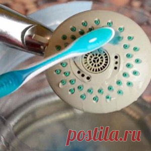 Как быстро очистить душевую лейку от известкового налета