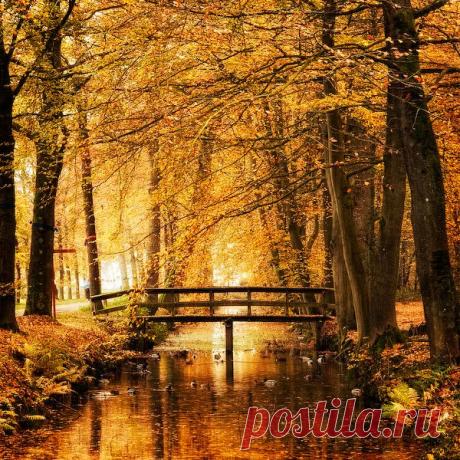 краски осени jpg