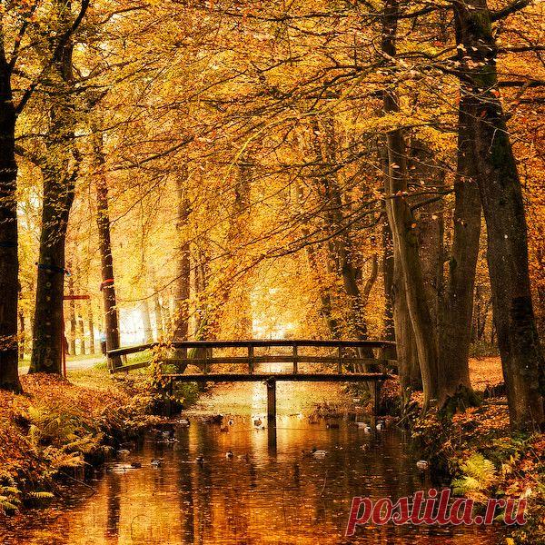 краски осени jpg