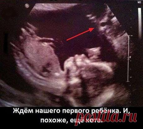 Одноклассники