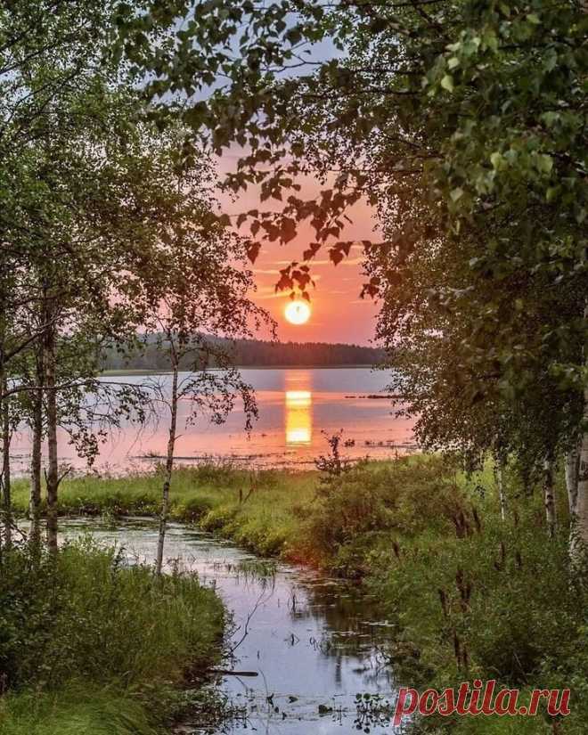 i (736×920)