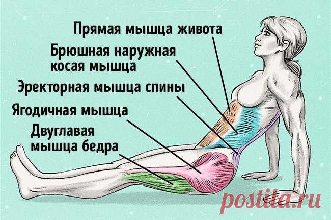 Всего одно упражнение, чтобы сжечь жир и исправить осанку » MAKATAKA