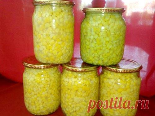 Кукуруза сладкая консервированная. Вкуснее магазинной.

Любите салаты с кукурузой? А почему бы не сделать домашнюю заготовку, в качестве которой можно быть уверенным? Предлагаем простой рецепт кукурузы сладкой консервированной для салатов и закусок.

Ингредиенты:
Показать полностью…