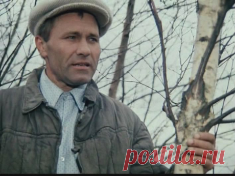 Любимец народа Василий Макарович Шукшин!..