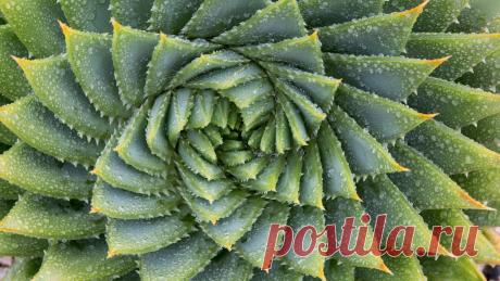 Сломанная физика: реальные фото того, чего в реальности быть не может - Hi-Tech Mail.Ru