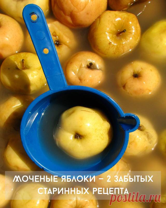 Моченые яблоки — 2 забытых старинных рецепта — Домашние заботы