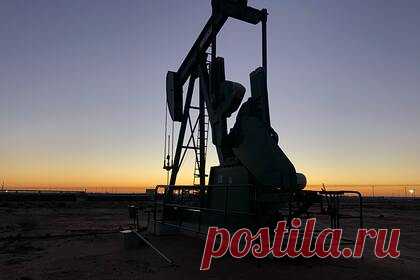 Нефти предрекли десятилетия «золотого века». Мировой спрос на нефть достиг своего пика и будет продолжаться еще несколько десятилетий, рассказал руководитель медиацентра Института развития технологий ТЭК (ИРТТЭК) Дмитрий Коптев. Аналитик указал, что долгосрочные прогнозы указывают на долю нефти в мировом энергобалансе не ниже 50 процентов к середине столетия.