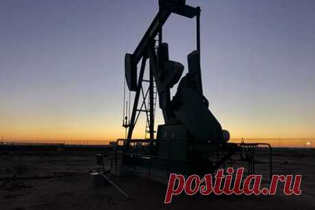 Нефти предрекли десятилетия «золотого века». Мировой спрос на нефть достиг своего пика и будет продолжаться еще несколько десятилетий, рассказал руководитель медиацентра Института развития технологий ТЭК (ИРТТЭК) Дмитрий Коптев. Аналитик указал, что долгосрочные прогнозы указывают на долю нефти в мировом энергобалансе не ниже 50 процентов к середине столетия.