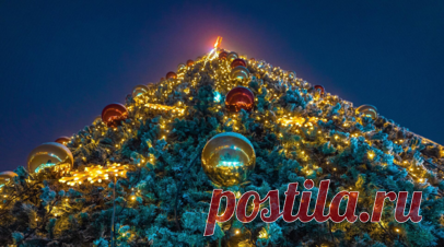 Психолог Юданова посоветовала отпустить до Нового года всё ненужное. Семейный психолог Юлия Юданова рекомендовала отпустить до Нового года всё ненужное. Читать далее