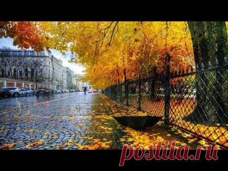 Как много в жизни хочется сказать