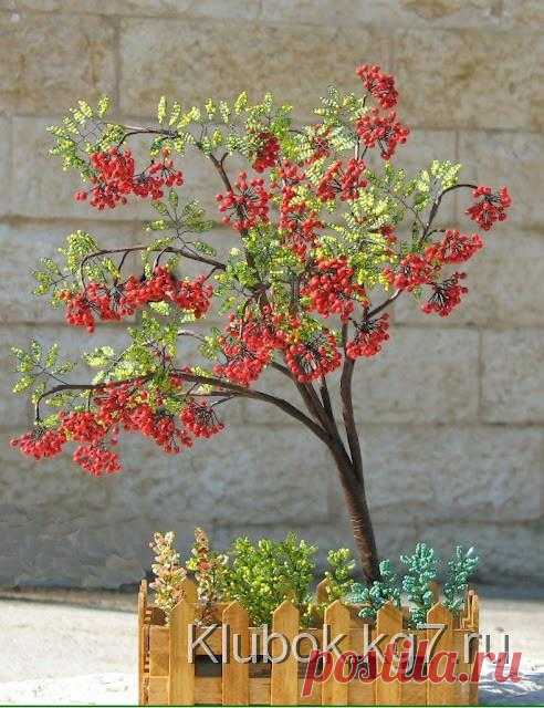 рябина | Клубок