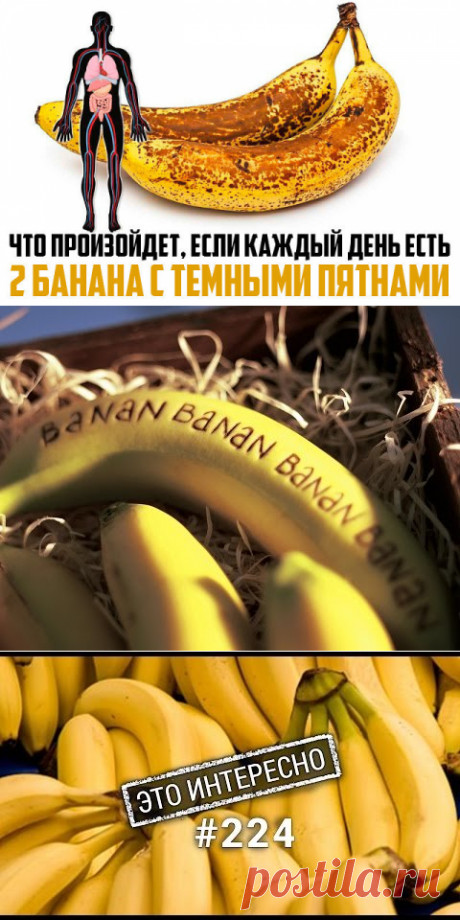 (1) Одноклассники