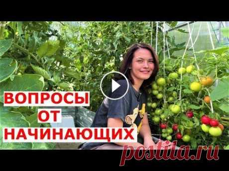 В гостях на участке vogorode pro ИЮНЬ Обзор огорода июнь 2022 Помощь каналу, карта Сбербанка - 4276 3800 7513 3459 Роман Андреевич Я. Канал на Дзене - Ужасное мульчирование опилками - Особ...