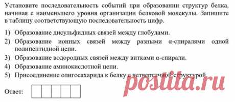 Привет! Мне нравится этот номер, составитель постарался! Заодно вспомним все химические связи, которые участвуют в формировании первичной, вторичной и третичной структуры белка. Ответы пишите через 10 точек.