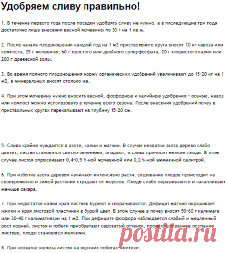 Удобряем сливу правильно!