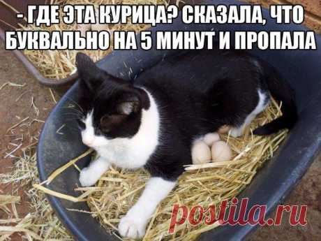 Приколы без границ | ВКонтакте