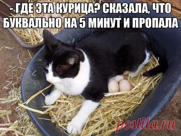 Приколы без границ | ВКонтакте