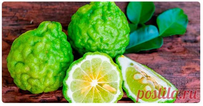 Бергамот: польза и вред для здоровья организма человека