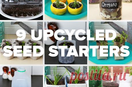 9 Items You Can Upcycle Into Seed Starters Get your green thumb ready