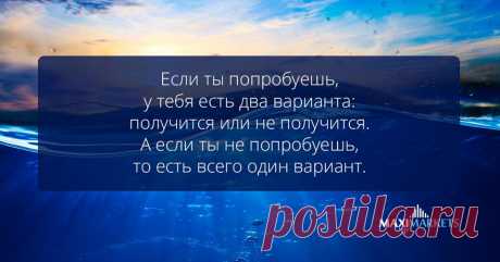 (99) Maximarkets - Главная