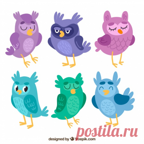 Сова установлена ​​в разных цветах Более миллиона свободных векторов, PSD, фотографии и бесплатные иконки. Эксклюзивные халявы и все графические ресурсы, которые необходимые для ваших проектов