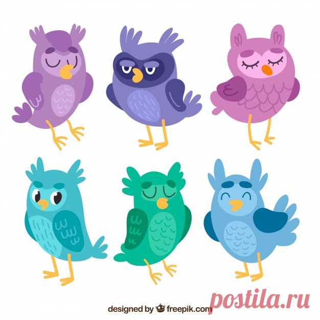 Сова установлена ​​в разных цветах Более миллиона свободных векторов, PSD, фотографии и бесплатные иконки. Эксклюзивные халявы и все графические ресурсы, которые необходимые для ваших проектов