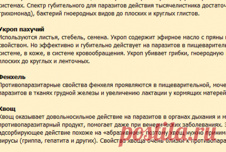 Противопаразитные растения - Мой Мир о Нас