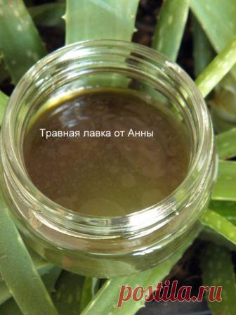 Рецепты из диких трав и не только