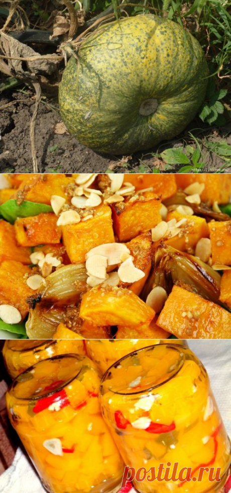 Пять рецептов маринованной тыквы