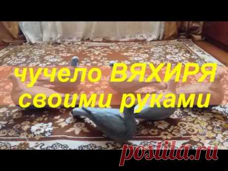 чучело вяхиря своими руками