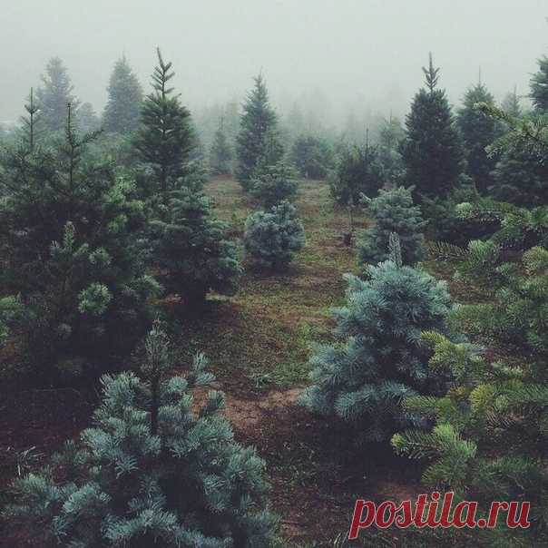 Невероятные 3D-звуки...
Наденьте наушники, закройте глаза и наслаждайтесь.