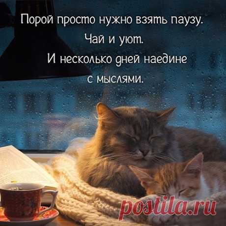 Правда Жизни | Юмор, Мотивация, Сарказм, Цитаты