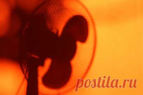 Как сохранить прохладу в доме без кондиционера | Лайфхакер