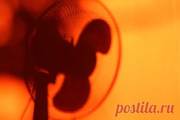 Как сохранить прохладу в доме без кондиционера | Лайфхакер