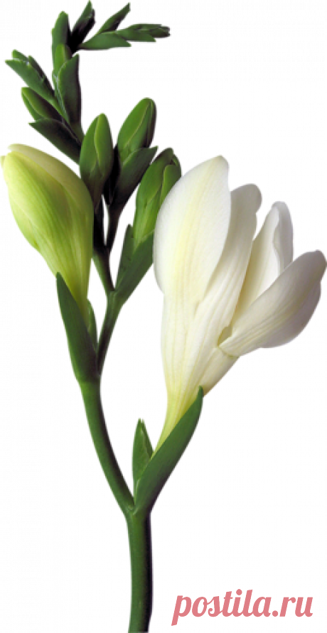 ***МОИ РАМКИ прокрутка | Записи в рубрике ***МОИ РАМКИ прокрутка | Дневник KOMJATI