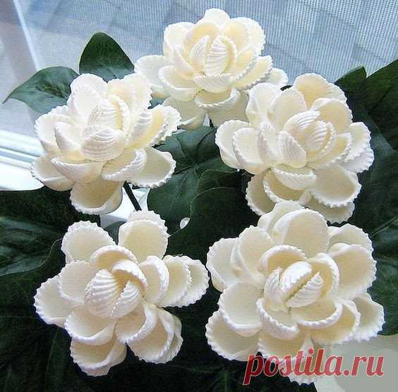 ​Цветочные идеи поделок из ракушек