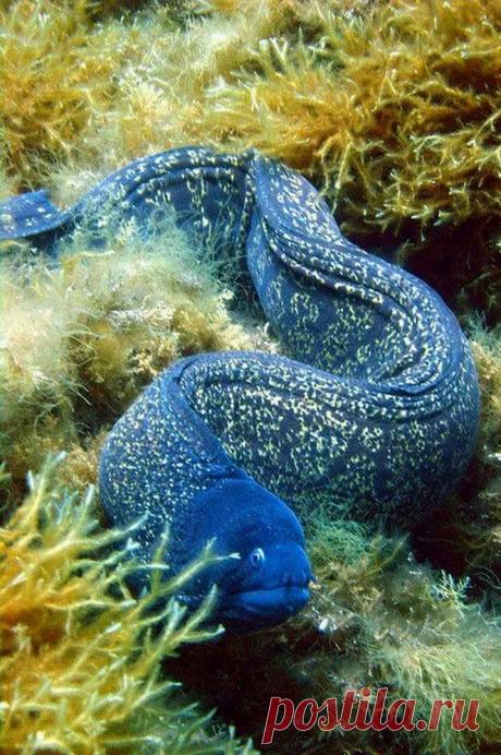 41c4720d8305c3ffc5f45e1d97194683.jpg (663×998)