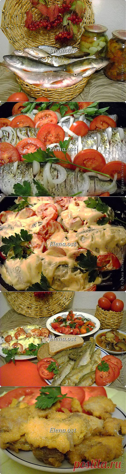 Готовим рыбку | Страна Мастеров