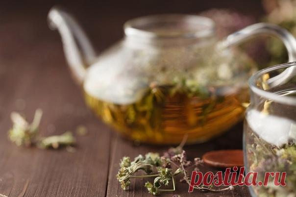 ПОЛЕЗНО ЗНАТЬ!

Задержка воды в жировой ткани часто приводит к целлюлиту, лишнему весу и отекам. При этом обменные процессы замедляются, а эффективность диет резко уменьшается. В такой ситуации поможет дренаж жировой ткани. Это выведение лишней жидкости из организма, вследствие чего, сжигание жира будет проходить более интенсивно.

В домашних условиях помогут дренажные напитки. Действуют они в трех направлениях: тонизируют, дренируют, сжигают жиры.

Рецепт № 1

2 ст.л. изм...