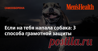 Если на тебя напала собака: 3 способа грамотной защиты Твоим противником в драке может стать не только хулиган или подвыпивший сосед. Серьезную опасность для твоей жизни могут представлять собаки. Как защититься, если навстречу тебе летит четвероногий враг с оскаленной мордой?