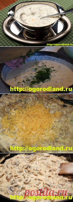 Как вкусно приготовить грибной соус со сметаной